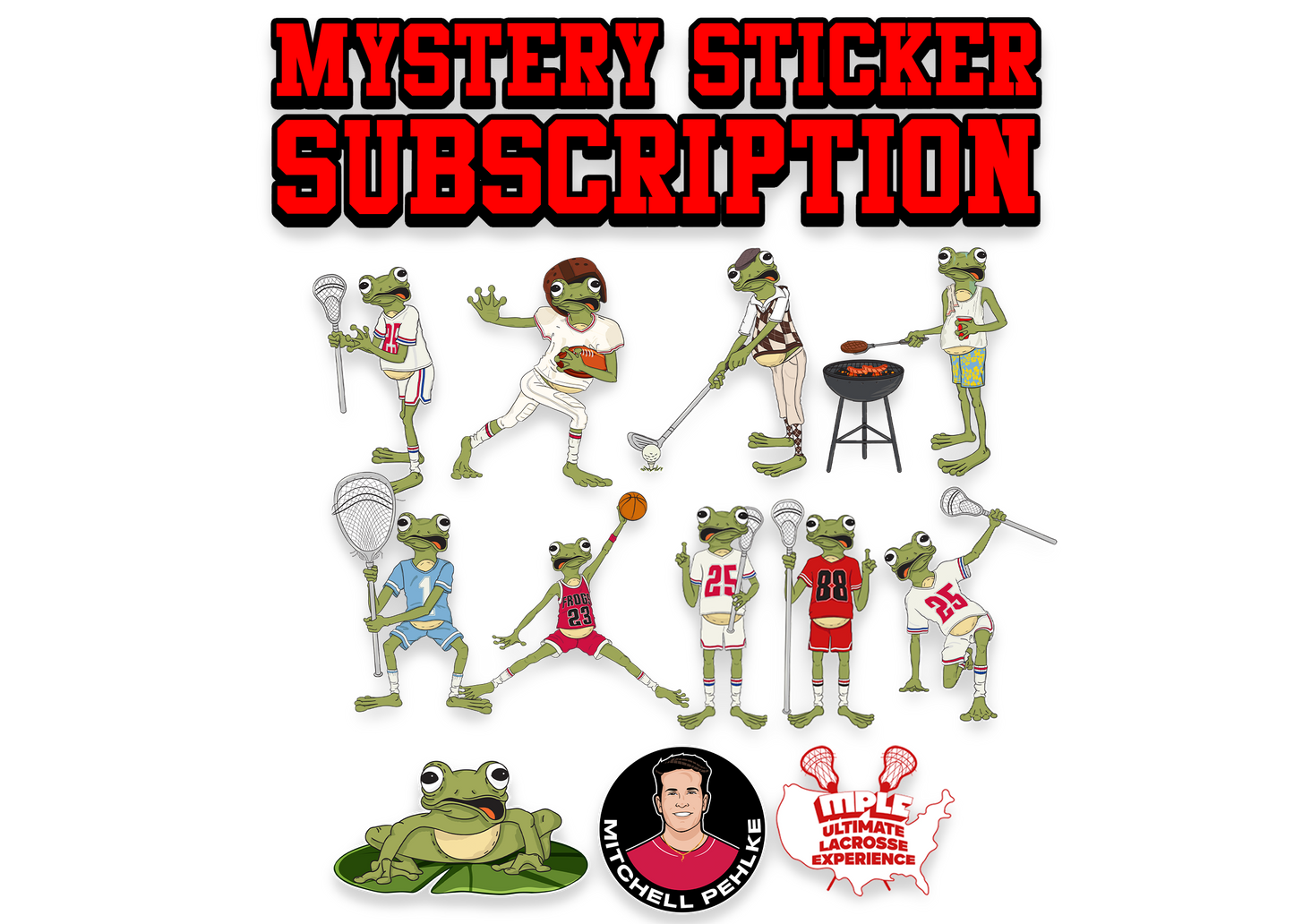 Monthly Mystery Sticker Subscription