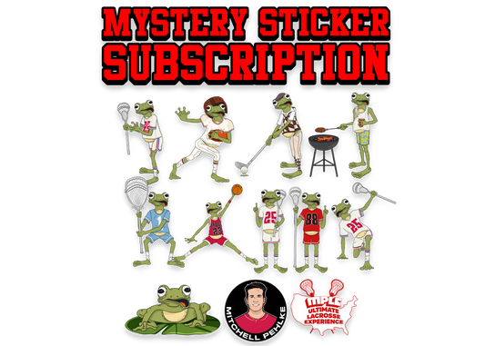 Monthly Mystery Sticker Subscription